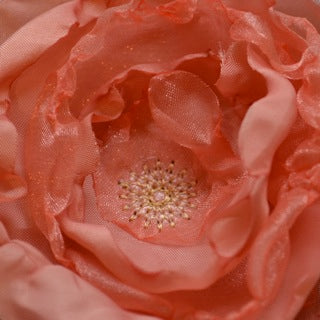 Beautiful Blooms In the Hoop Embroidery Design